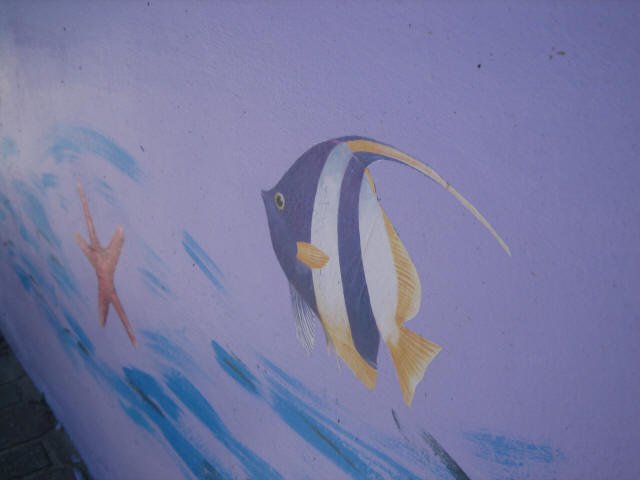 spiaggia 005